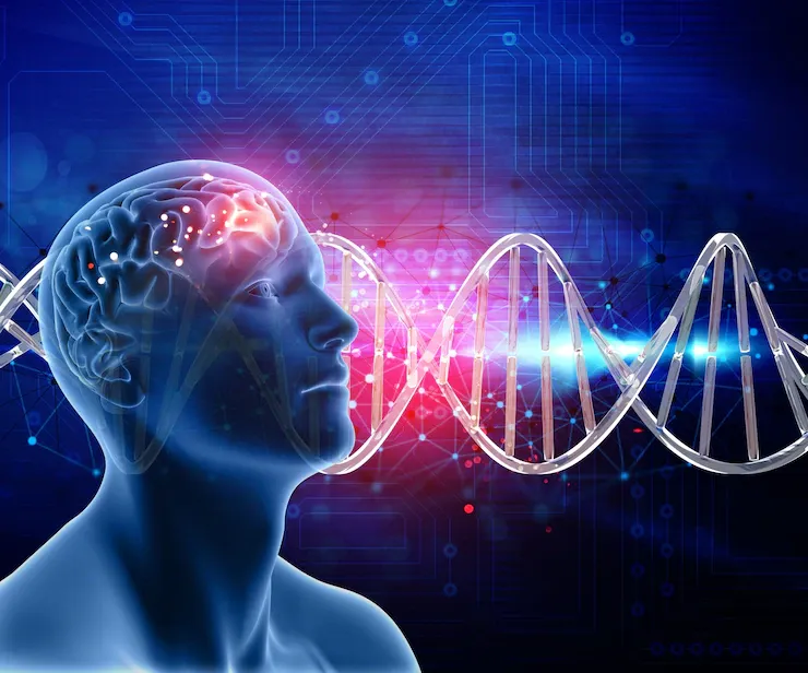 Brain Nerve Disorders: Advanced Solutions by Dr. Hafiz M. Junaid